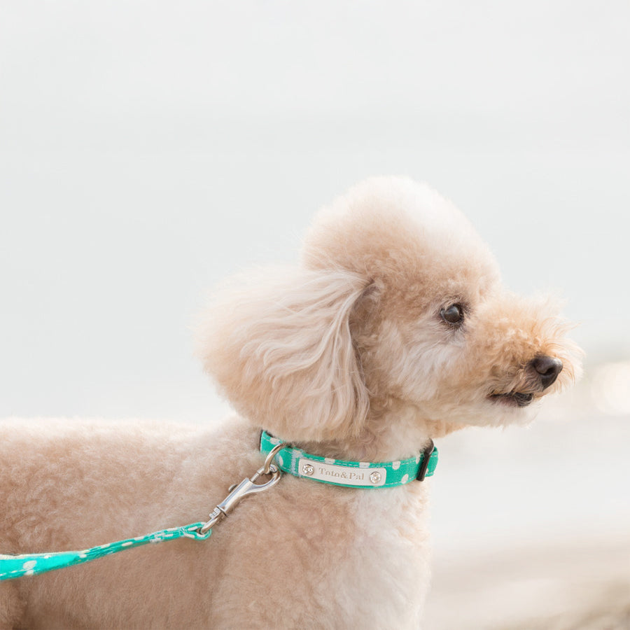 Dots Green Collar